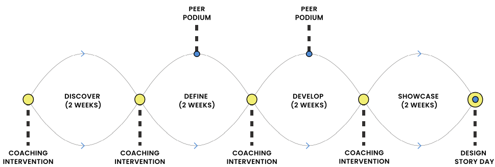 D. Learn: Post Training Capstone Project